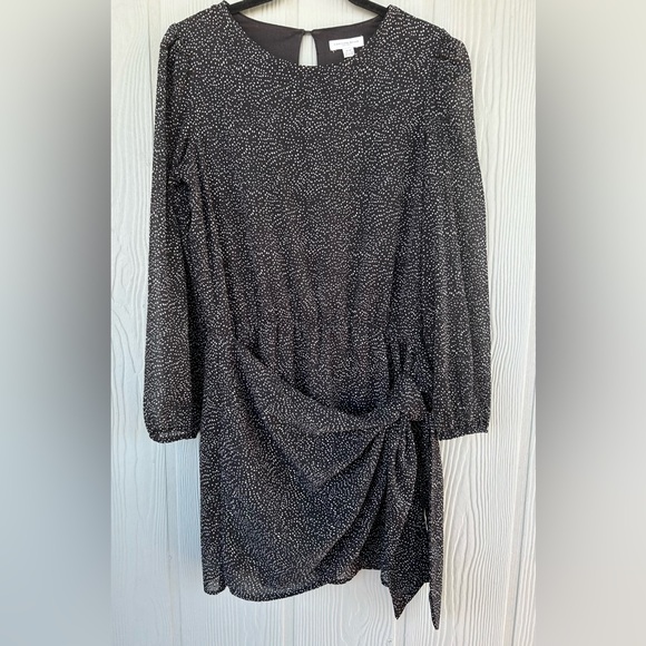 76CAROLINA BELLE Elegant Puffed Sleeve Polka-dot Black & White Mini Dress
SizeМ - Picture 1 of 16